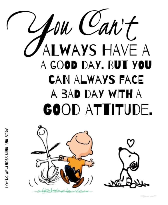 Doggo Diaries (@diaries_doggo1) on Twitter photo 