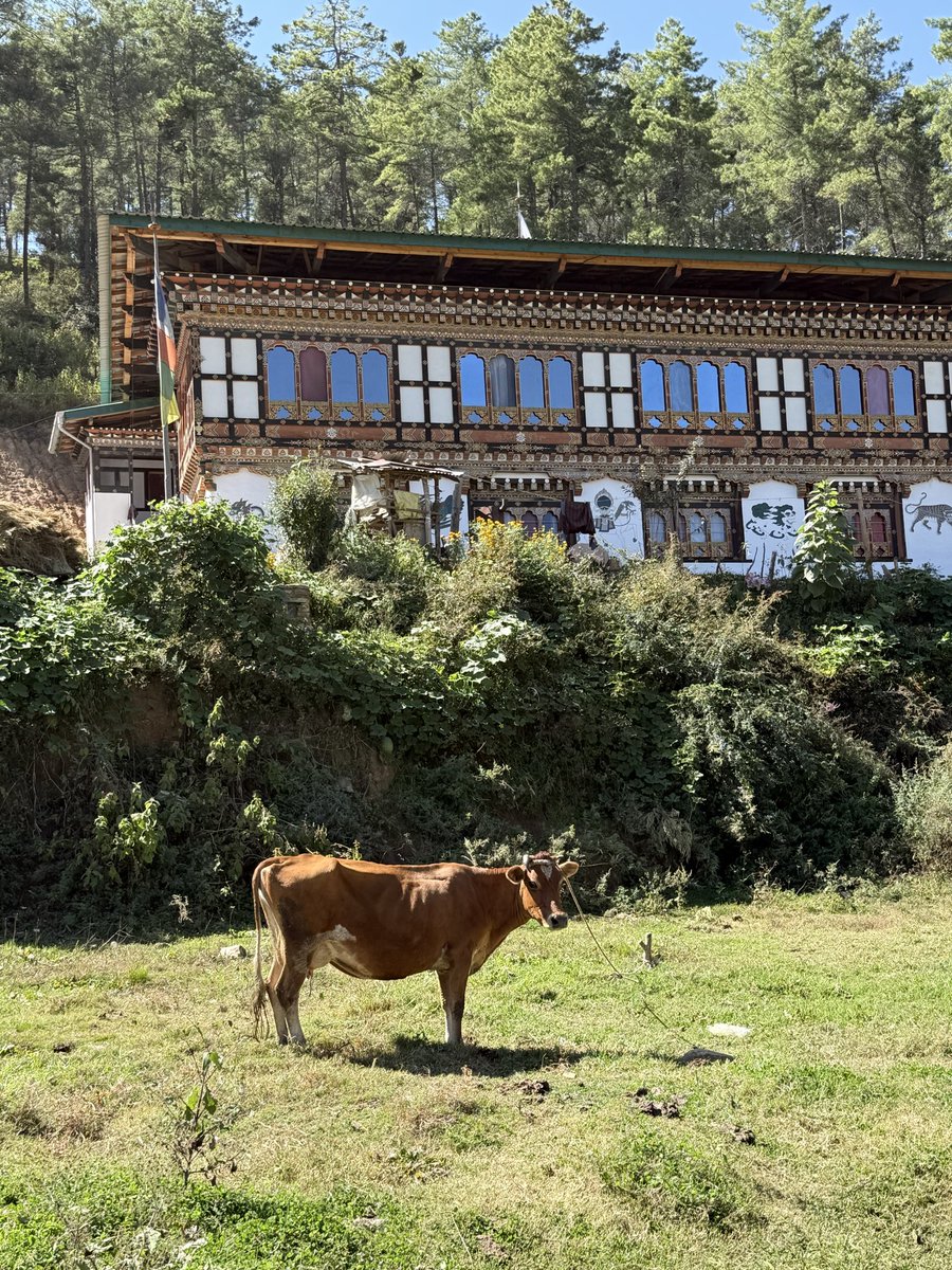 soscottnewman's tweet photo. Following roll-out of the FAO OH Assessment Tool, development of Bhutan OH Action Plan &amp; Country profile, we are back working with OH Secretariat, livestock, wildlife, environment &amp; public health sectors developing OH investment cases
@FAOLivestock @FAO @FAOAsiaPacific @FAOBhutan https://t.co/sYZhbL3hAH