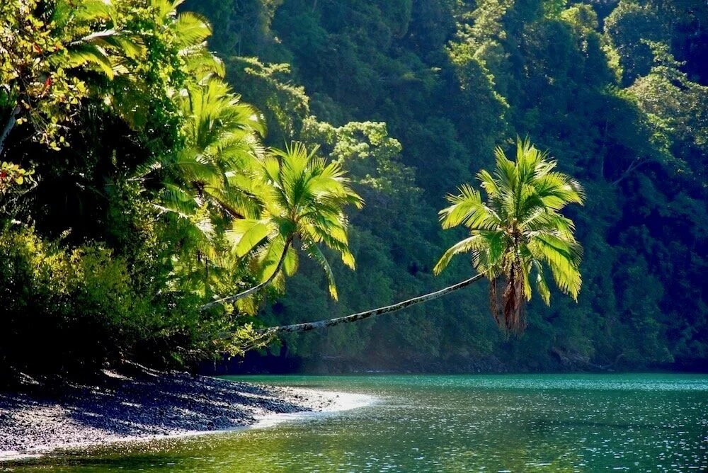 This is what my soul needs