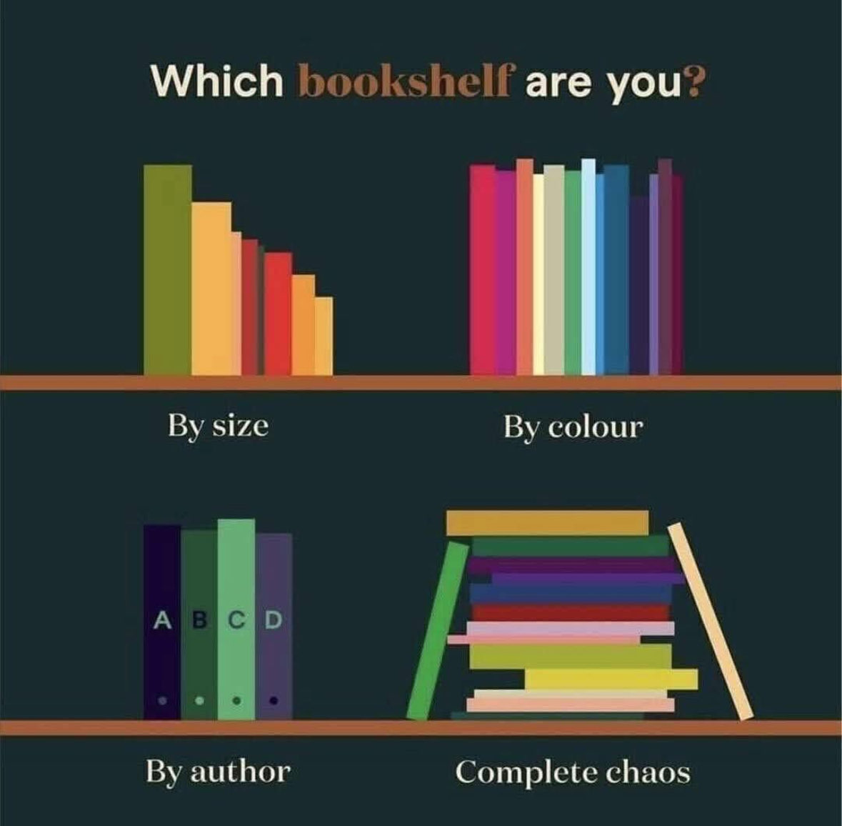 R_S_Russo's tweet image. I like to sort my books by size and colour. 📚