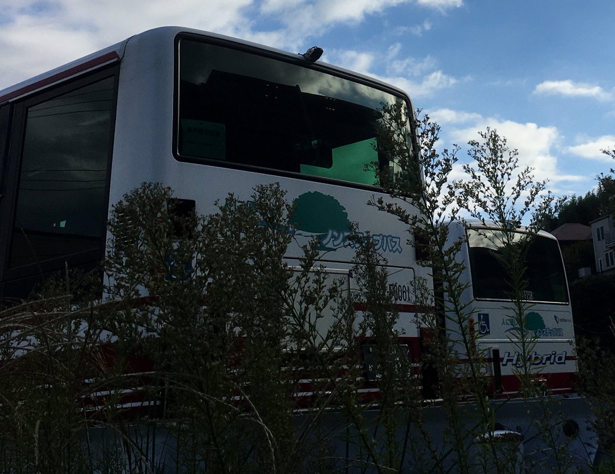 ★ともとも①〜⑨★ 楽天市場】ベビーゲート 日本育児 おくだけドアーズWoody2 S M L