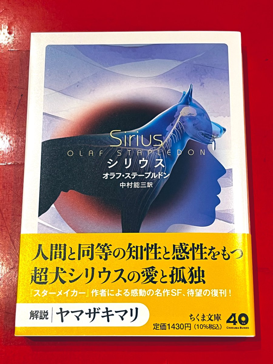 CHIC SALE(シークセール) on X