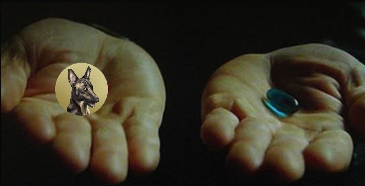 FirstBroccoli's tweet image. Choose wisely 💊