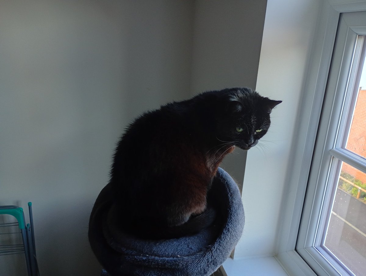 Good morning everyone. It's 9c here &amp; sunny after overnight rain.
I've spotted a Dalmatian going for it's morning walk.
Tuesday thoughts: don't focus on who let you down. Appreciate who lifted you up. Don't focus on who darkened your days. Appreciate who brightened them