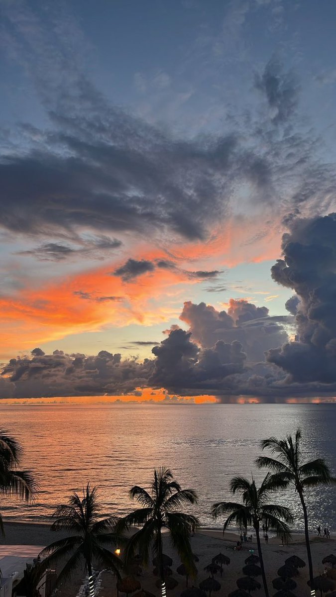 SAGE🌿 (@sagy720) on Twitter photo 