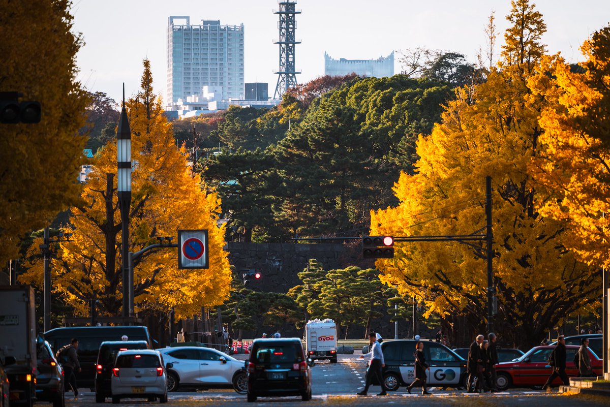 novy_jp's tweet photo. 近づいてくる秋を楽しみにしている
Tokyo Station, shot in December 2024 https://t.co/dysxoT0Vmv