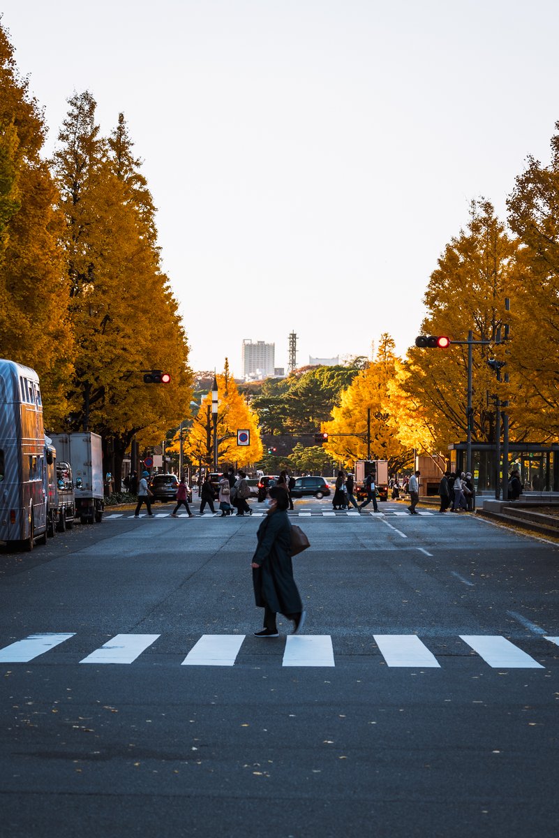 novy_jp's tweet photo. 近づいてくる秋を楽しみにしている
Tokyo Station, shot in December 2024 https://t.co/dysxoT0Vmv
