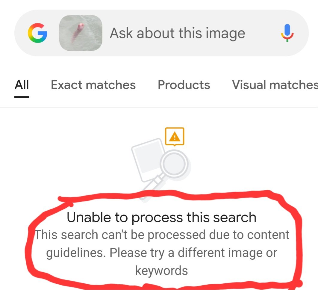 misterkwai's tweet photo. Guess google thinks it's a dick, lol.

#weirdfish https://t.co/SaCpWmyF3w