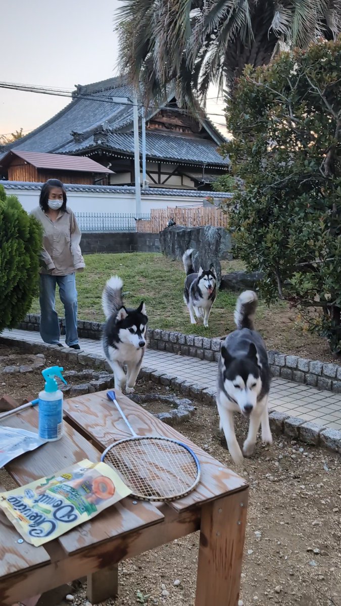 okspecialmuseum on X