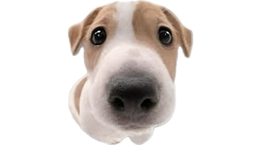 EXTOLANT tweet media