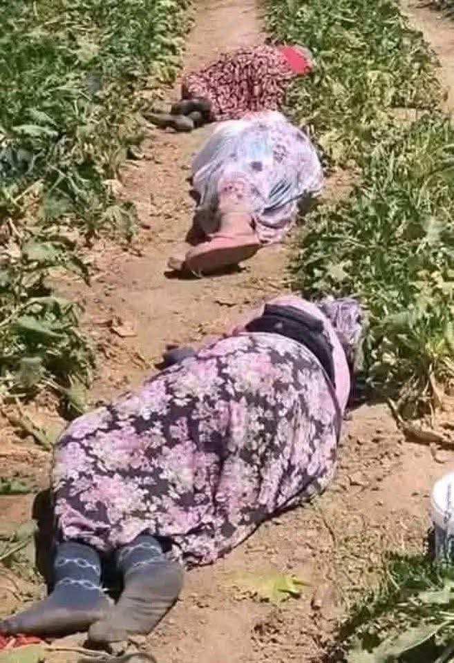 UAE is killing Sudanese People 
UAE is Killing Sudanese People 
UAE is killing Sudanese People
UAE is killing Sudanese People
UAE is killing Sudanese People