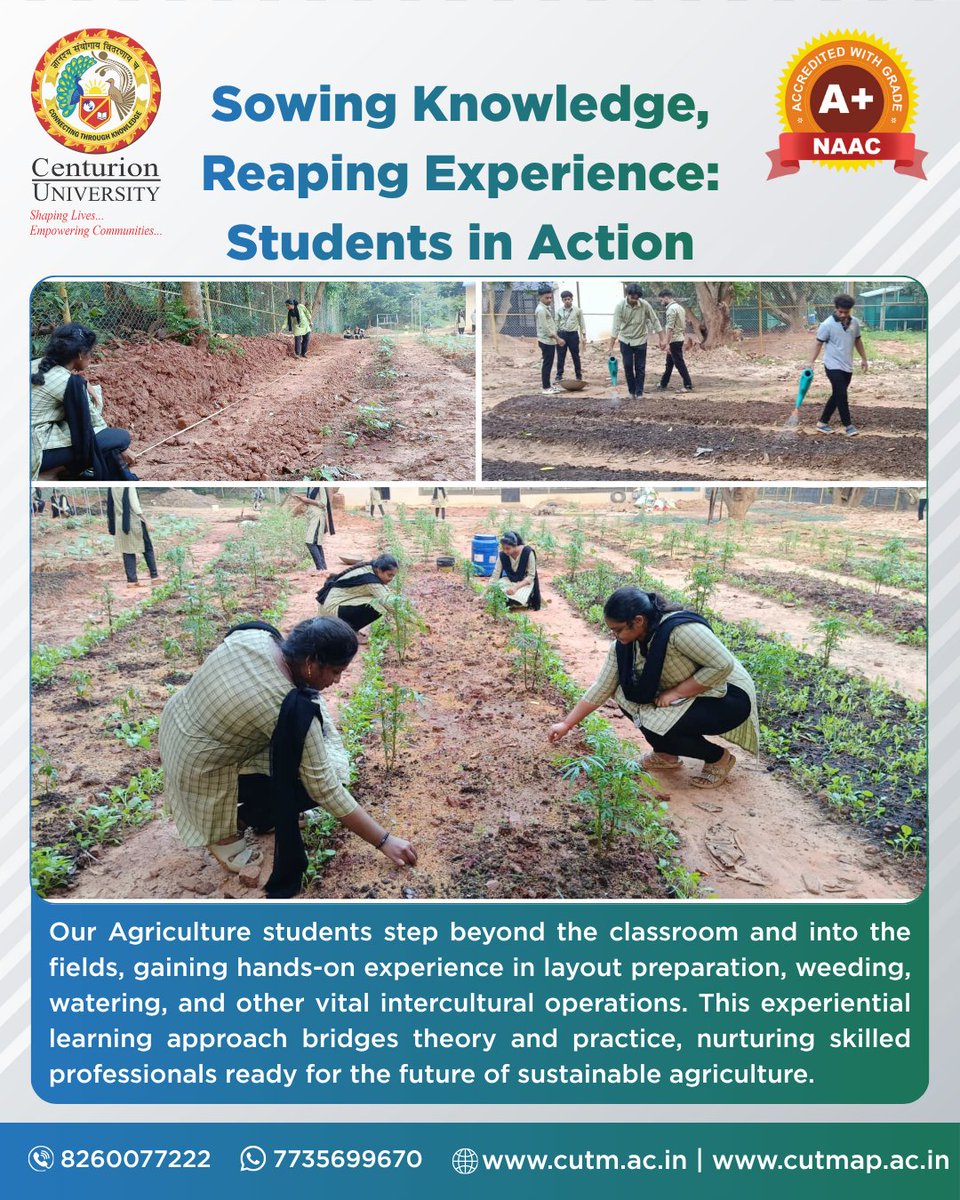CUTM_AP's tweet image. 🌱 Learning by doing — where every field becomes a living classroom @CUTM, Paralakhemundi !

#cutmpkd #cutmbbsr #cutmap #agriculturestudents #experientiallearning #handsontraining #futurefarmers #fieldbasedlearning #sustainableagriculture