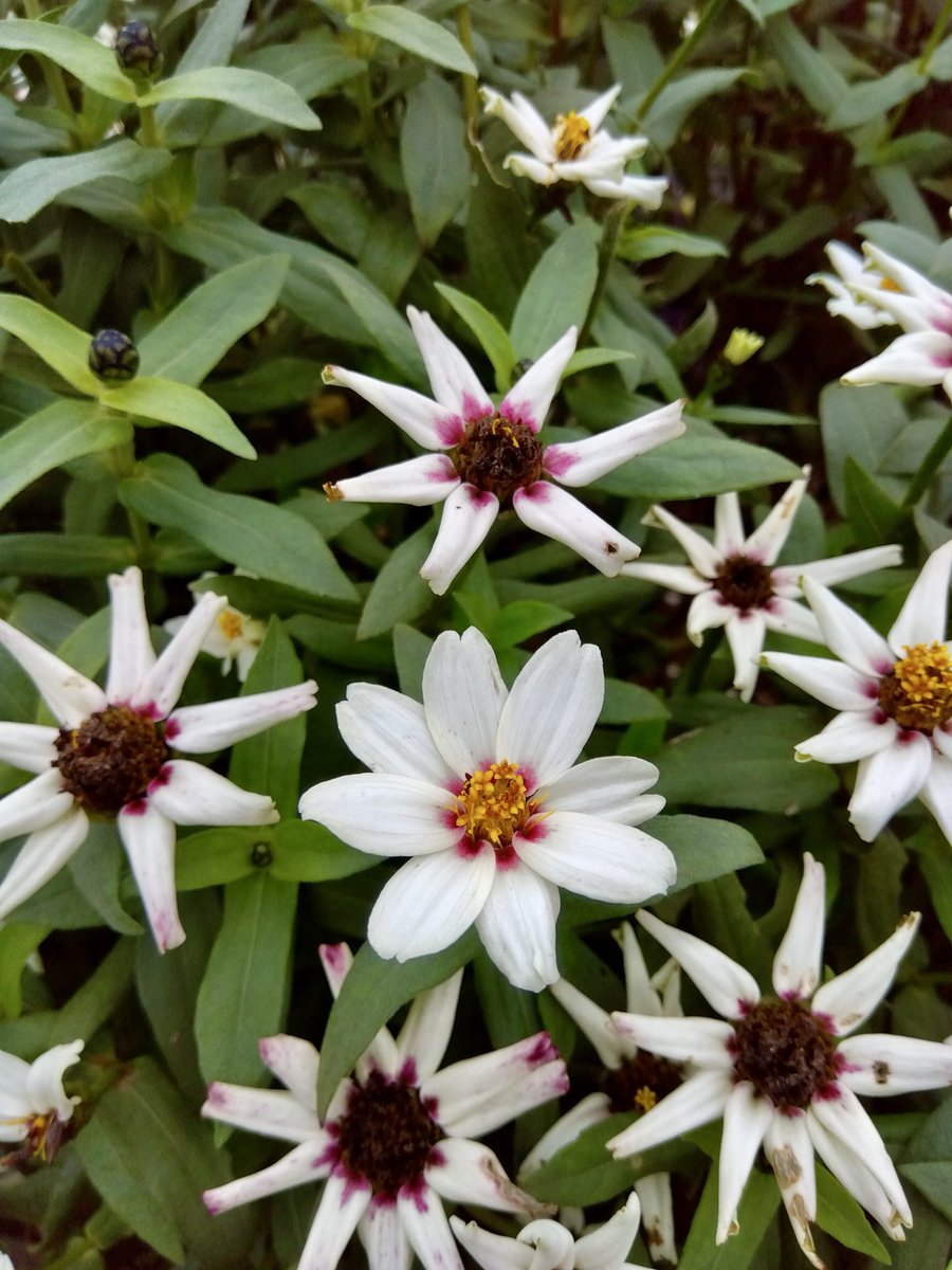 とうきち Zx110 Zx120 Zx130 Final Drive Assembly Travel Reduce Gearbox