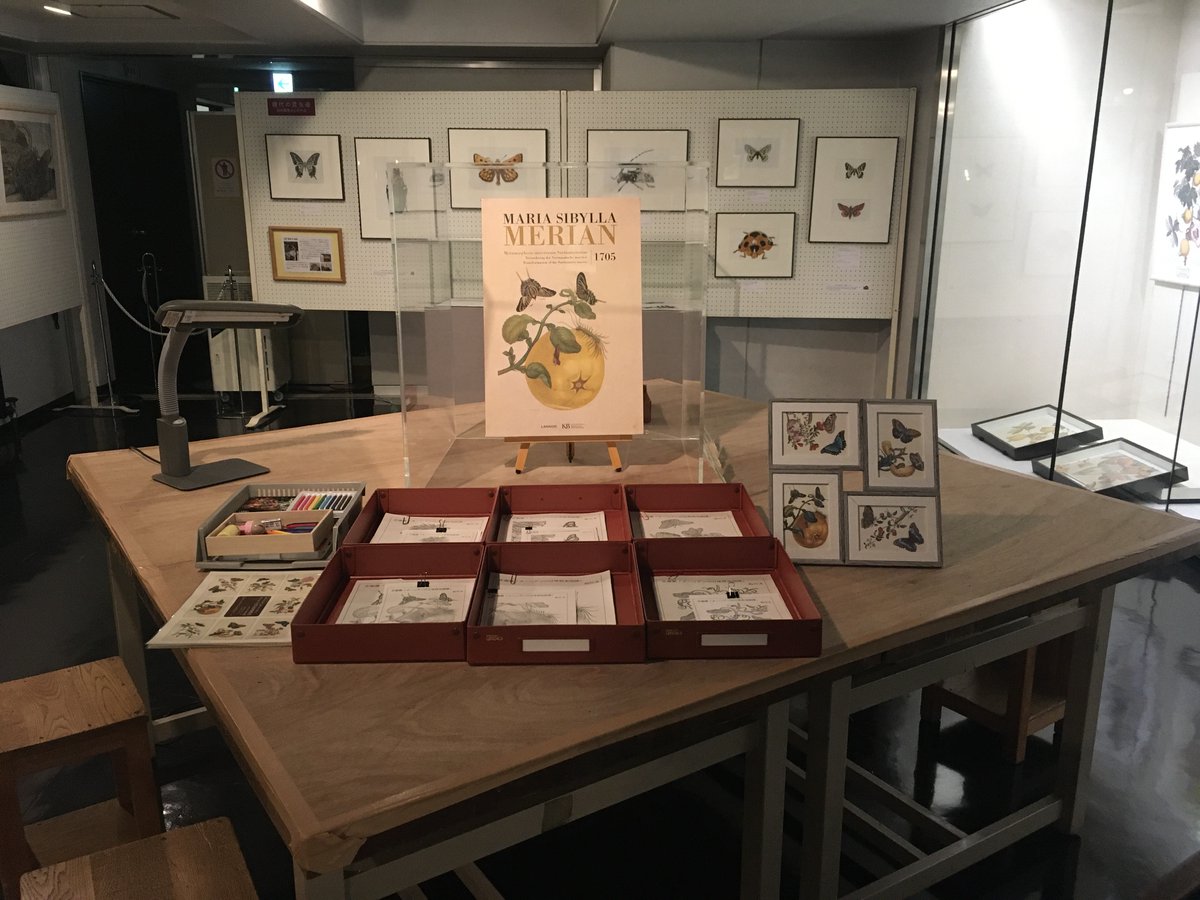 立体絵画の「一輪の薔薇と、近寄る昆虫」 立体絵画の「一輪の薔薇と、近寄る昆虫」 立体アート「一輪の