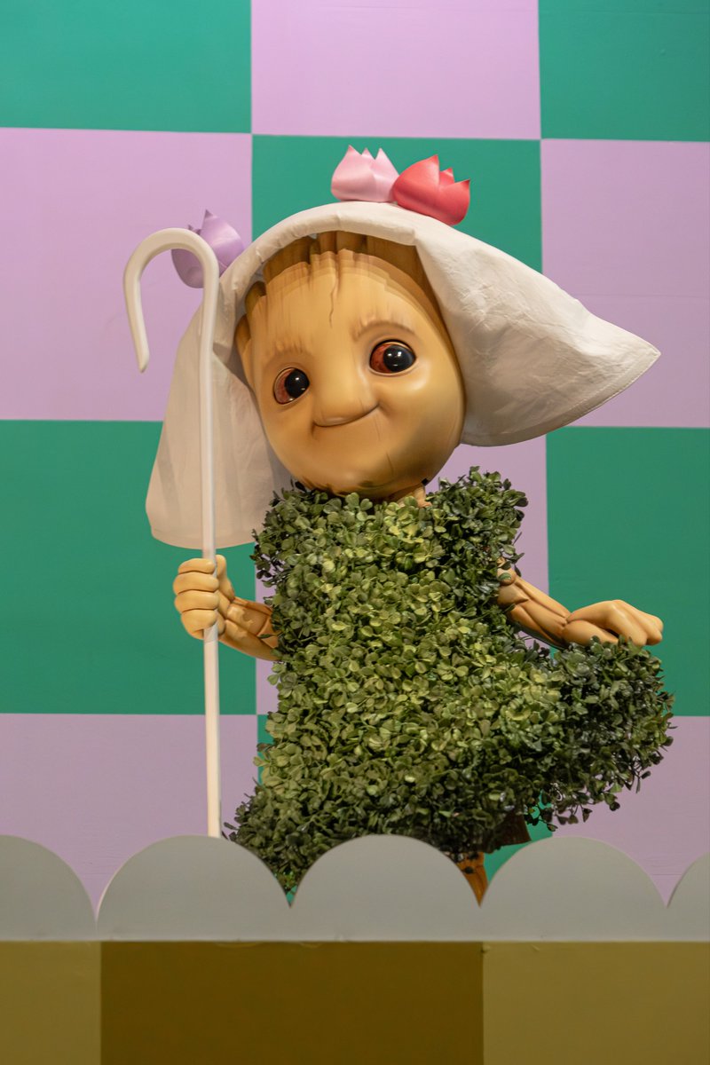 Alex 📷 Japan Theme Park Photography (@thehappyzan) / Posts / X