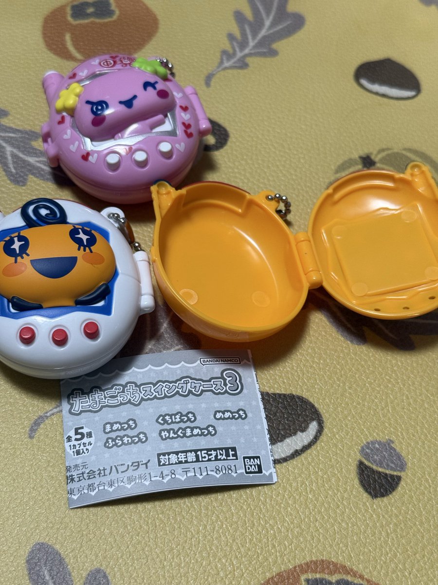 たぬきち🦋🌈 on X