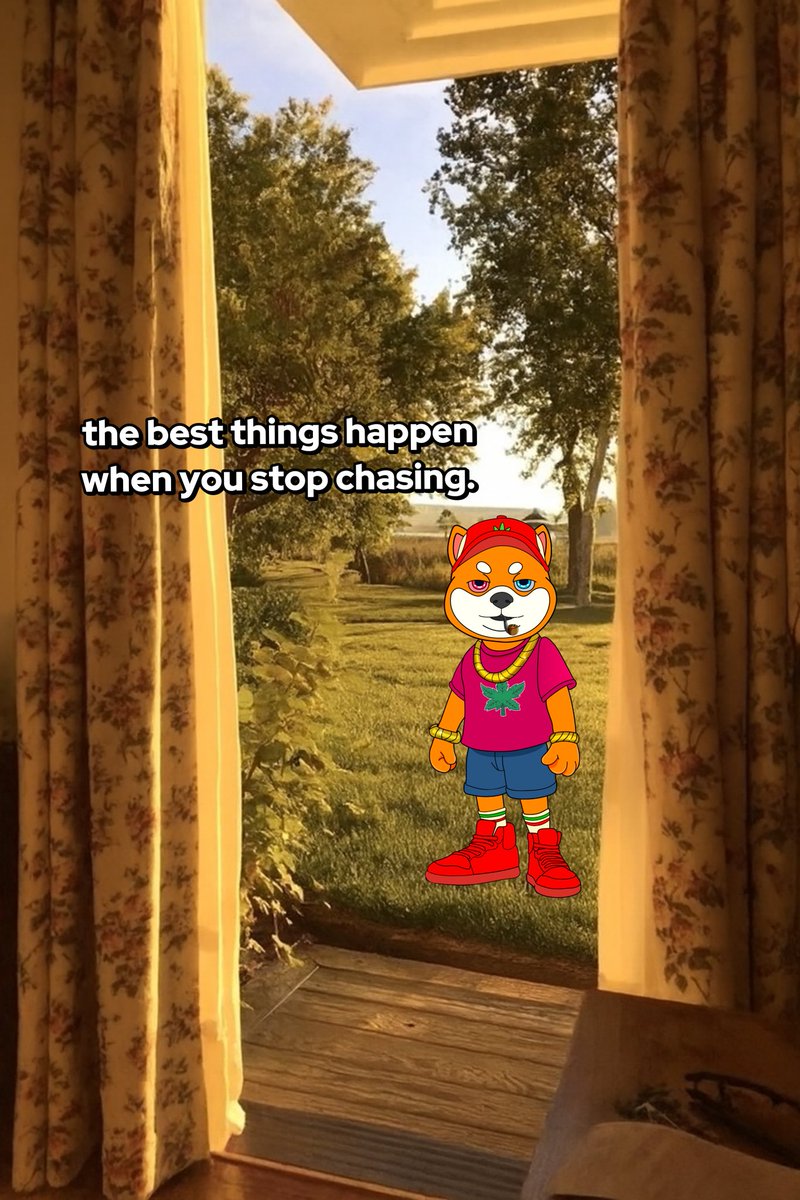 Check out PUFF DOG's video! #TikTok vm.tiktok.com/ZNdc7mmr3/