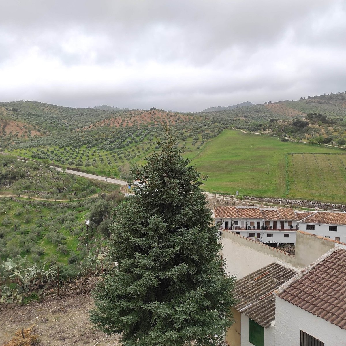 Ven a disfrutar un #Halloween de miedo en #ElBurgo, #SierraDeLasNieves de #Malaga. #Casa #rural con #ofertas terroríficas: elburgomalaga.com