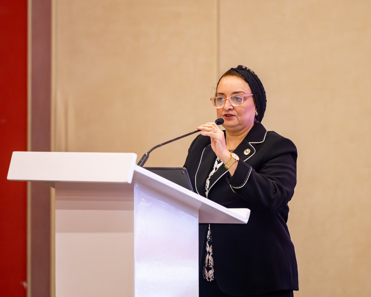 UNDP Africa tweet media