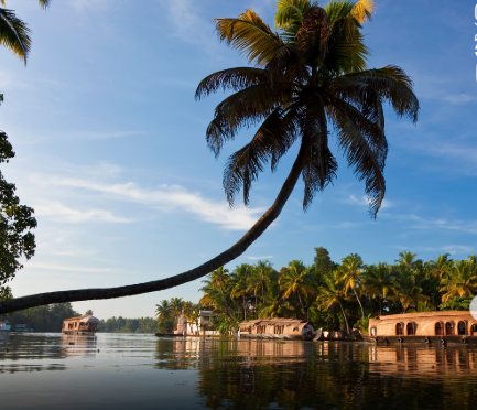 academic_mantra's tweet photo. Historic!
On Nov 1, Kerala will be declared ‘Extreme Poverty-Free’ - the first Indian state and only the second region in the world after China to achieve it. 🇮🇳✨
#Kerala #PovertyFree #KeralaPiravi #India #Development https://t.co/HhoXL43X8G