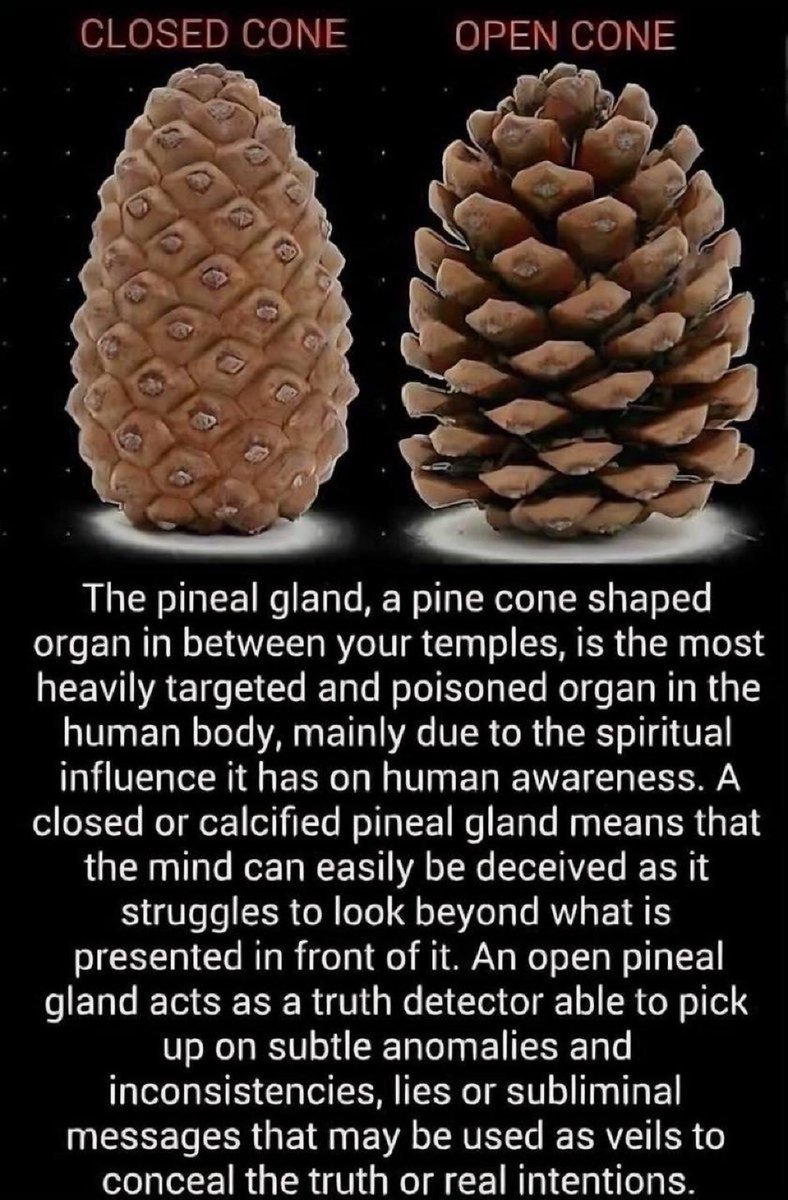 Open Your Inner Eye 👁️✨