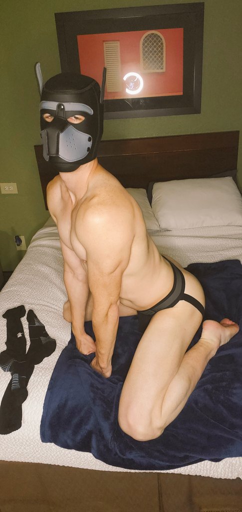 Just felt like trying to be a good boy, how am I doing?