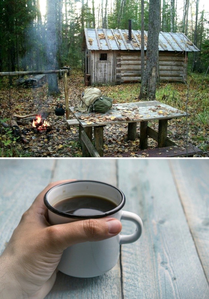 Сергей Лесник tweet media