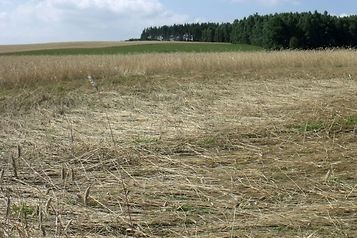 Agropolska tweet media