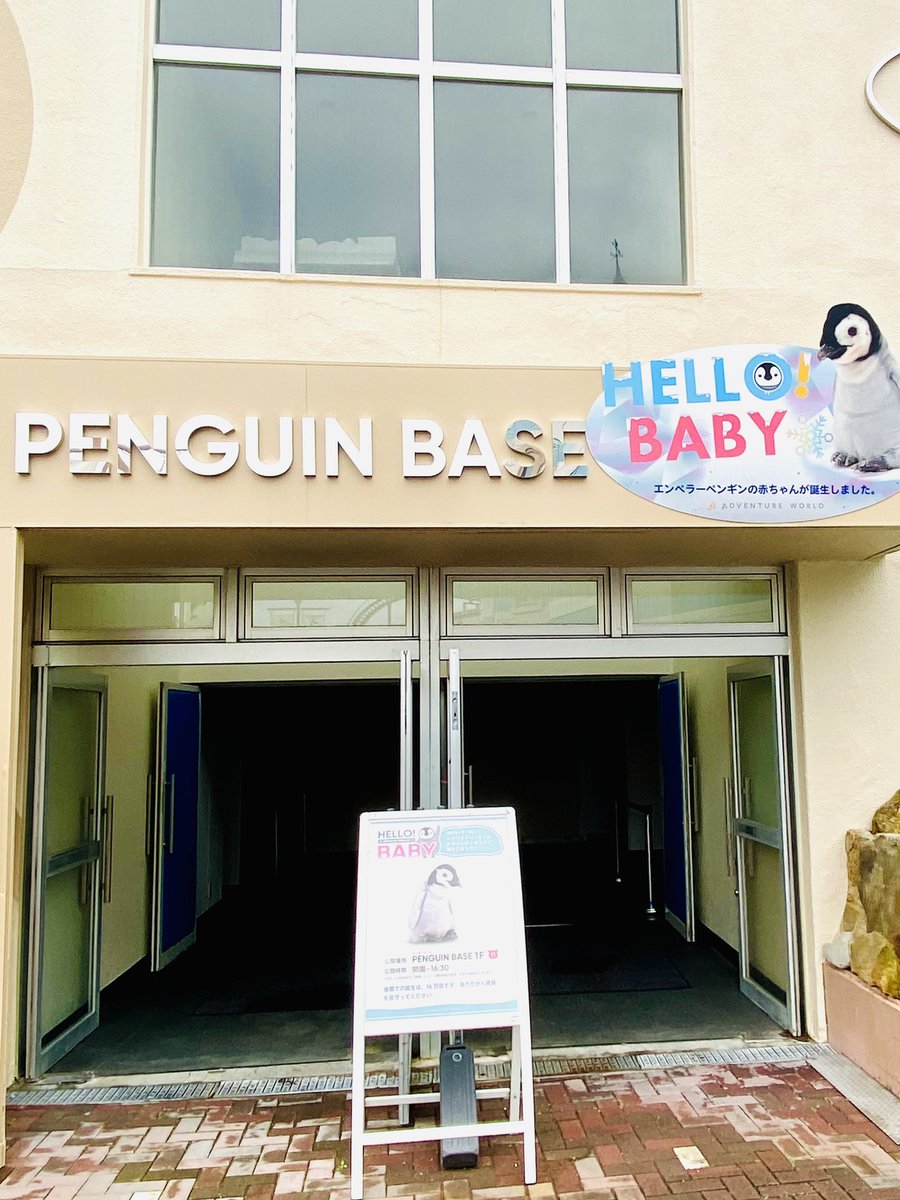 かれん (@feather0502) / Posts / X