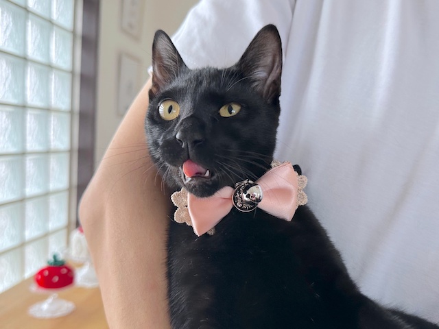 梅子の部屋 on X