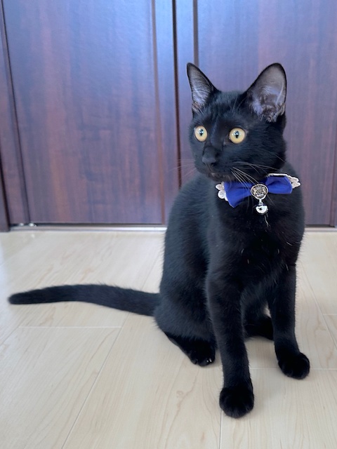 うめこページ 梅子の部屋 on X