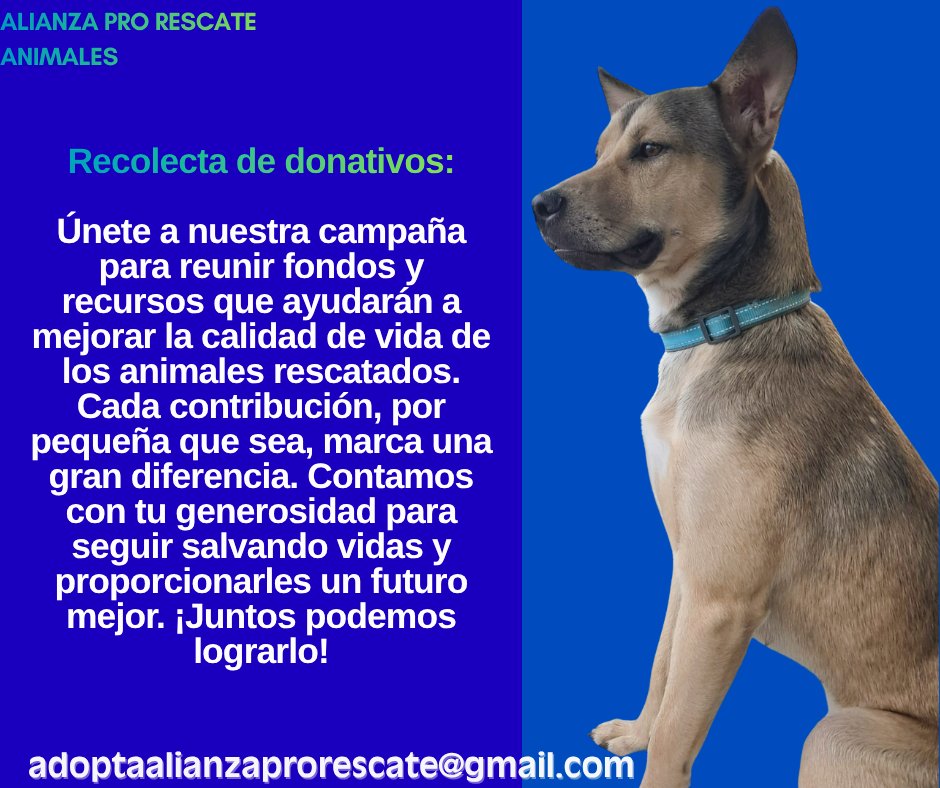Alianza Pro Rescate tweet media