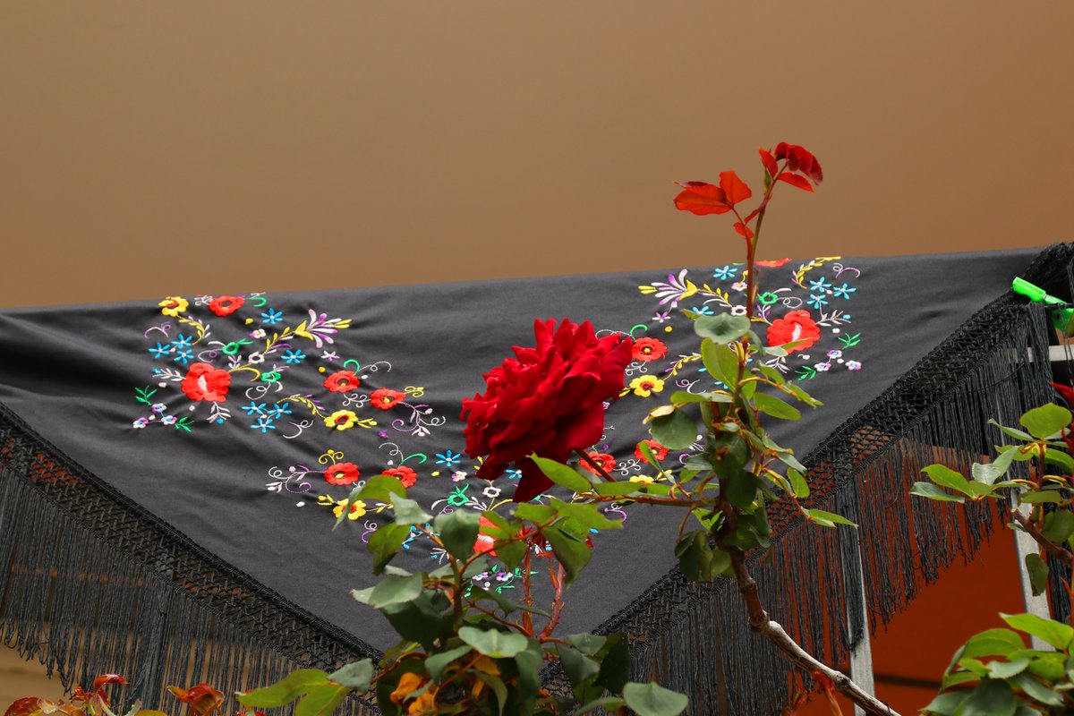 🌸✨ Los mantones típicos, símbolo de elegancia y tradición ✨🌸

En cada edición de Mascarávila, los coloridos mantones adornan las calles y plazas, llenando el ambiente de alegría, arte y cultura popular. 💃

Cada uno de ellos cuenta una historia, un pedacito de nuestras raíces