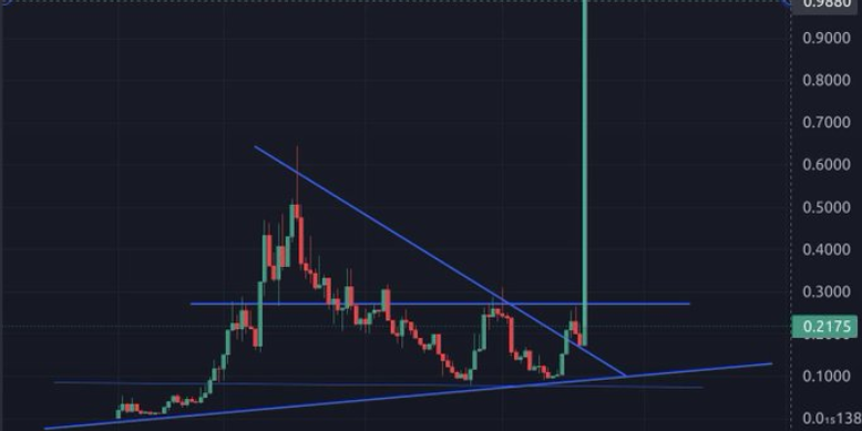 Kubo 🤍 tweet media
