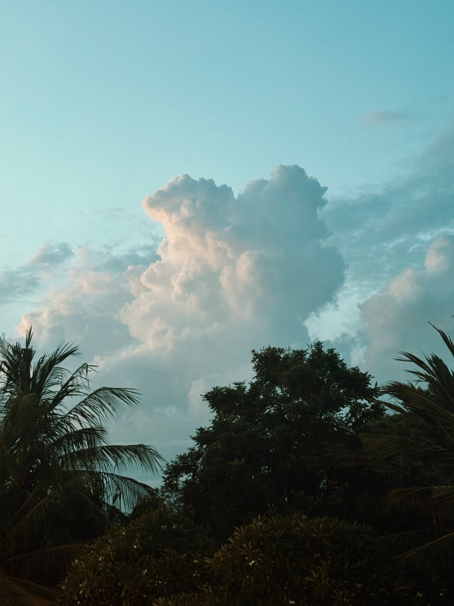 Raul Perte tweet media