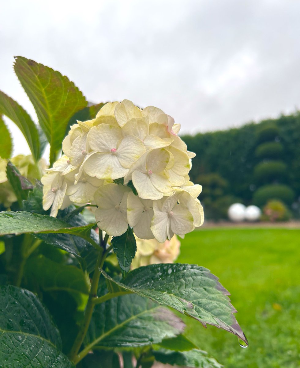 🍂🍃🌧️🍂🍃