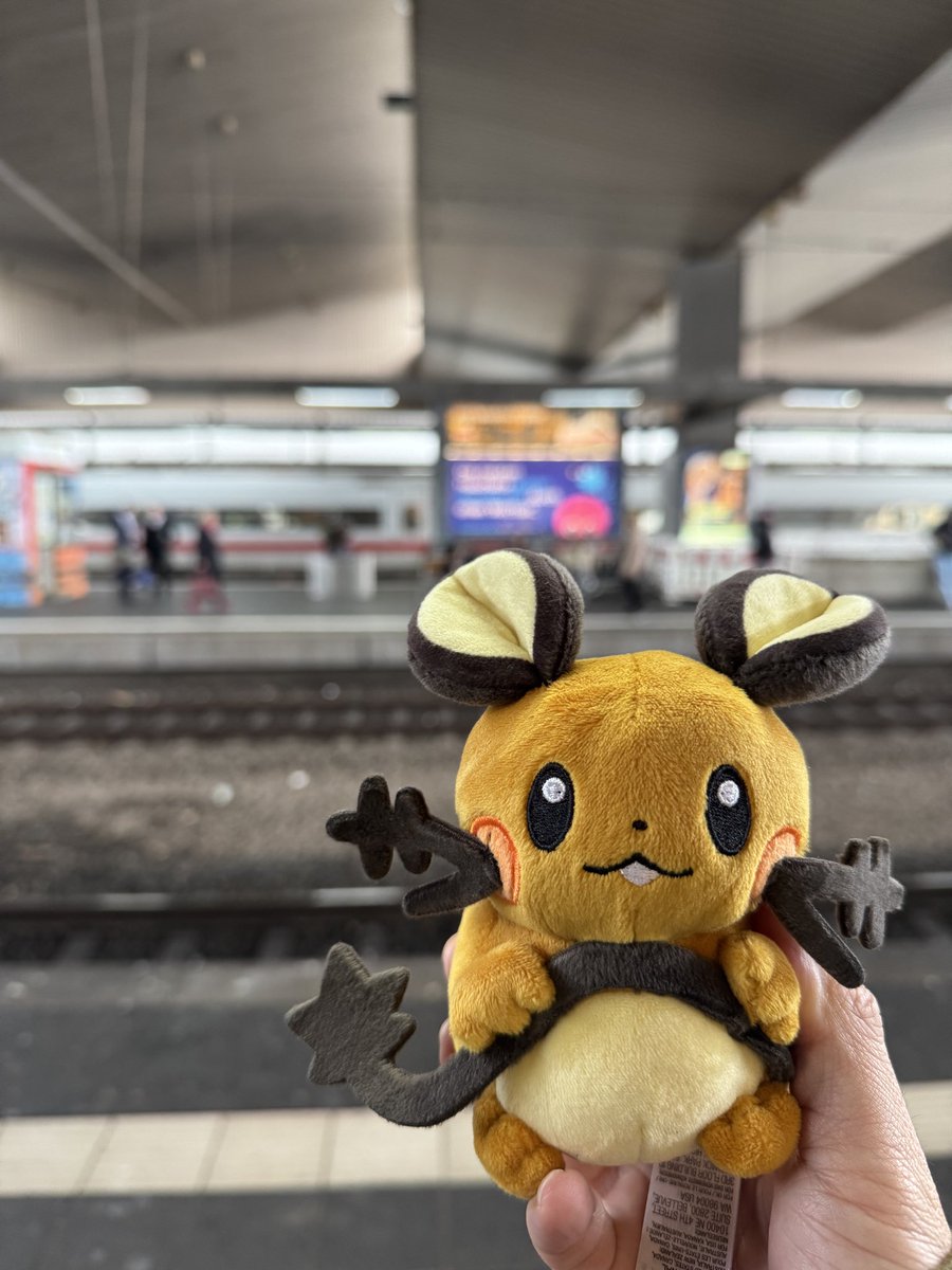 ⚡️>o'ω'o<⚡️