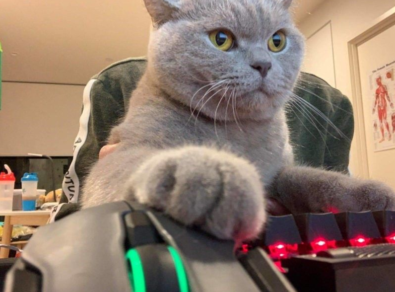 Bluealert tweet media