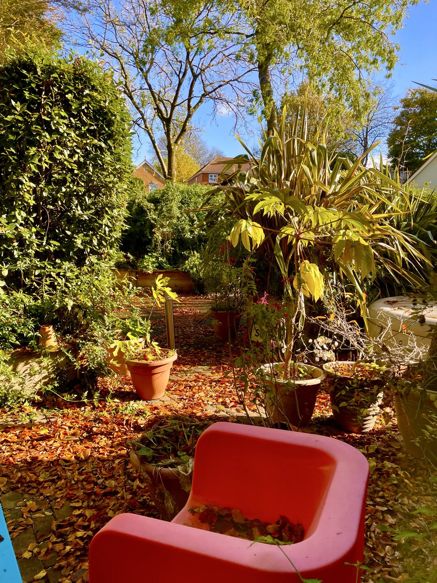 Stifyn1's tweet photo. Fitted carpet #hydref #fittedcarpet #garden #narurephotography #october #tuesday #autumn https://t.co/5n6IRTd44Q