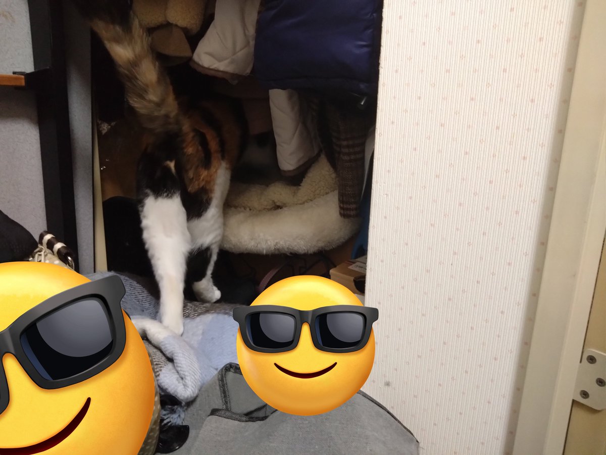 T・S・ヤマト on X