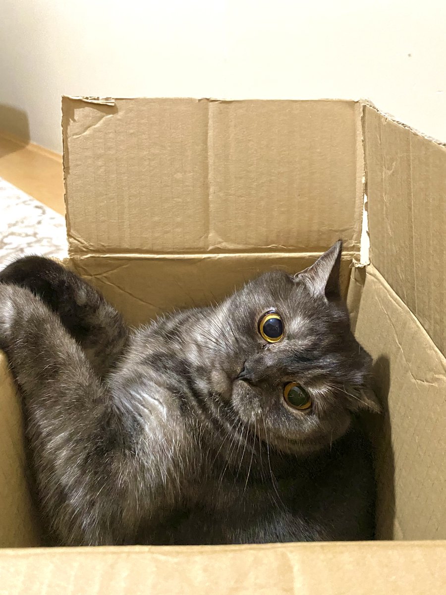 sülpisss 🎁 ben sıkınşa sasırdınıss di mii