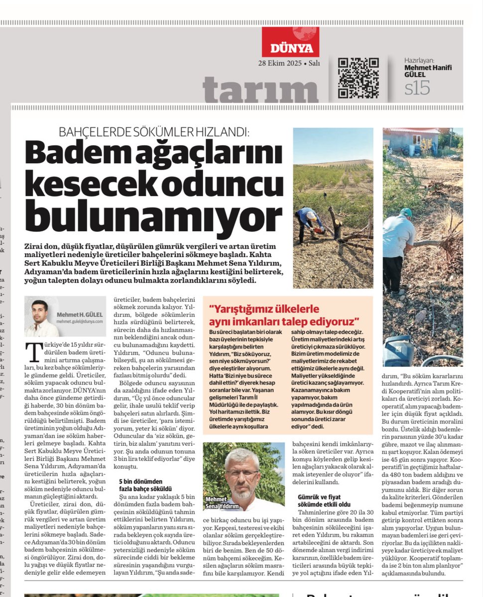 📌Kahta Sert Kabuklu Meyve Üreticileri Birliği Başkanı Mehmet Sena Yıldırım, Adıyaman’da badem üreticilerinin hızla ağaçlarını kestiğini belirterek, yoğun talepten dolayı oduncu bulmakta zorlandıklarını söyledi. <a href="/MehmetSenaYild2/">Mehmet Sena Yildirim</a> #bedem #söküm #bahçe #üretici #çiftçi