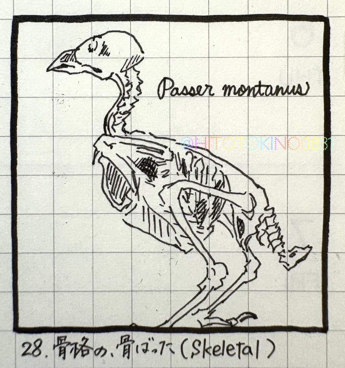 ひとと きの on X