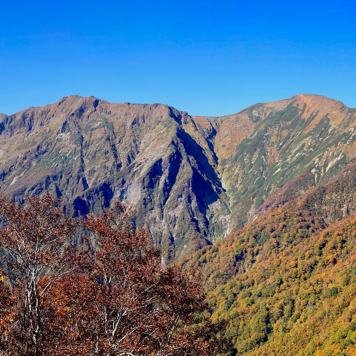 info_theiere's tweet photo. 🍁谷川岳の紅葉が見頃を迎えています🍁　#谷川岳 #天神平 #紅葉 #秋の景色 https://t.co/TIbafouuY7