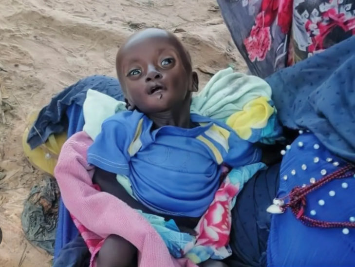 الصمت عما يجري في السودان خيانة

لا فرق بين مسلم في غزة ومسلم بالسودان