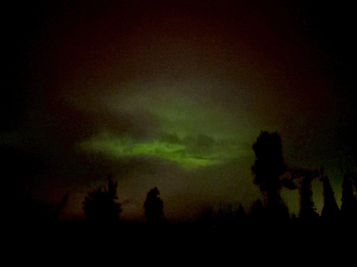 昨夜シュオテにお泊まりのお客様よりオーロラのお写真ご提供頂きました‼️✨日中もずっと曇りだったけど最後の夜、遅くまで待ったお客様の粘り勝ち😍🙌お写真ありがとうございました💕 #フィンランド #シュオテ