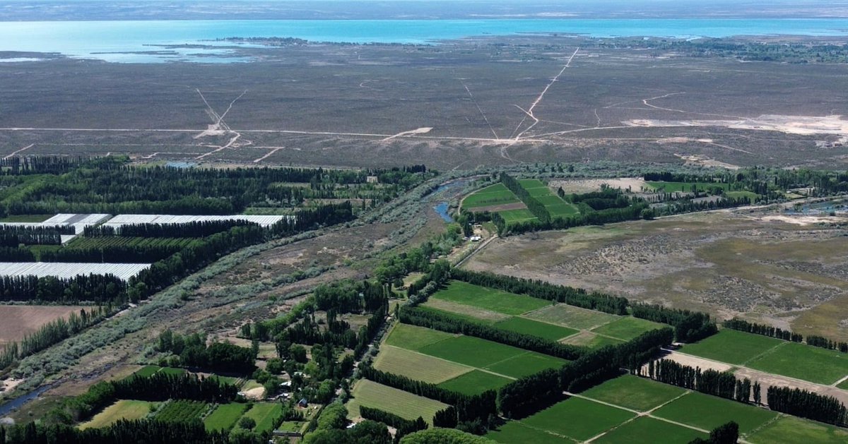 Agua que ordena, tierra que produce: la UNCo impulsa un modelo agroecológico en el Alto Valle – Ver más uncoma.edu.ar/ultimas-notici…