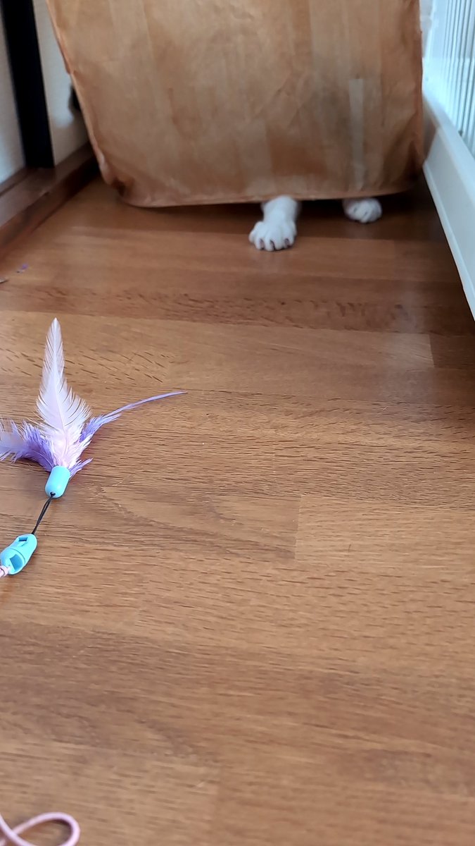 あやたん☻♡ あやたん (@aya7asan) • Instagram photos and videos