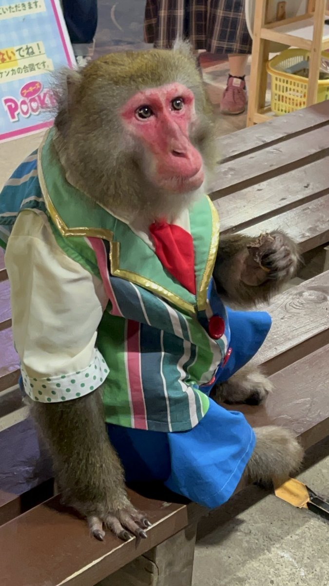 ヒロくん ヒロクンチャンネル/hirokun | 【#仮面ライダーガッチャード