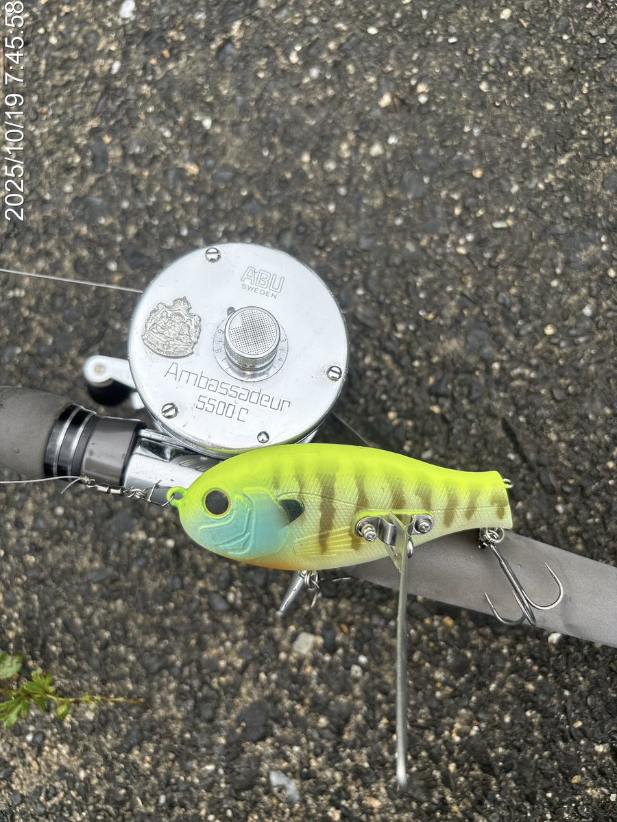 やまちゃん③ 山ちゃん on X